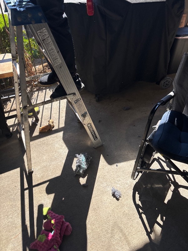 Unit 211 Photo 1